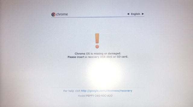 Running IGEL OS on Chromebooks - The IGEL UD Pocket approach (Part I)